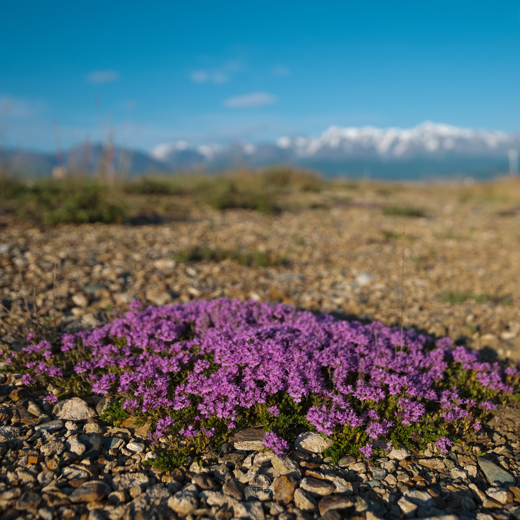 Карагемский Прорыв (6/70)