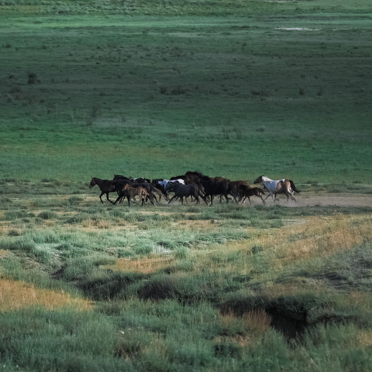 Карагемский Прорыв (17/70)