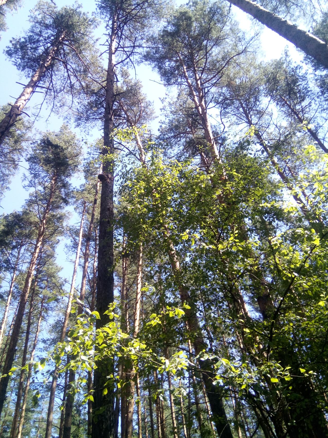 Отдых у озера + sup (6/48)