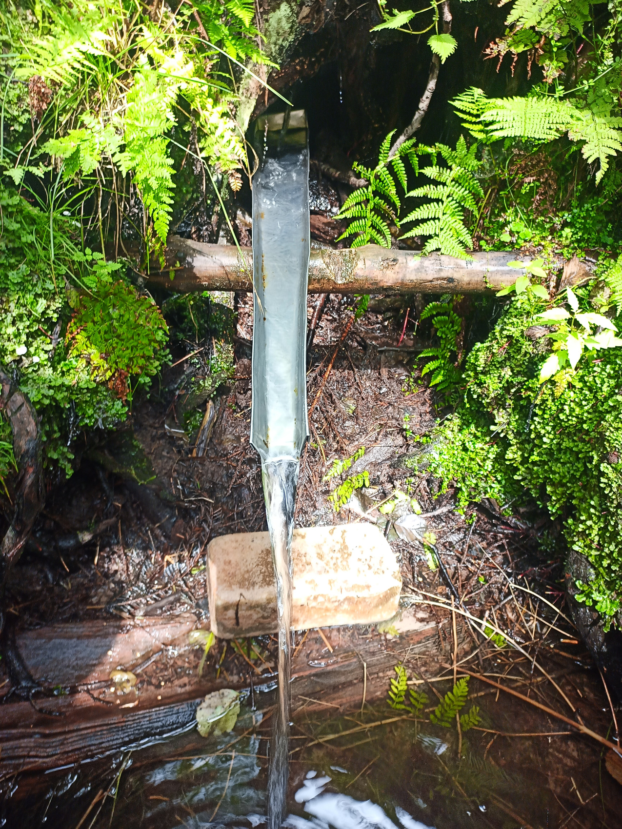 Отдых у озера + sup (37/48)