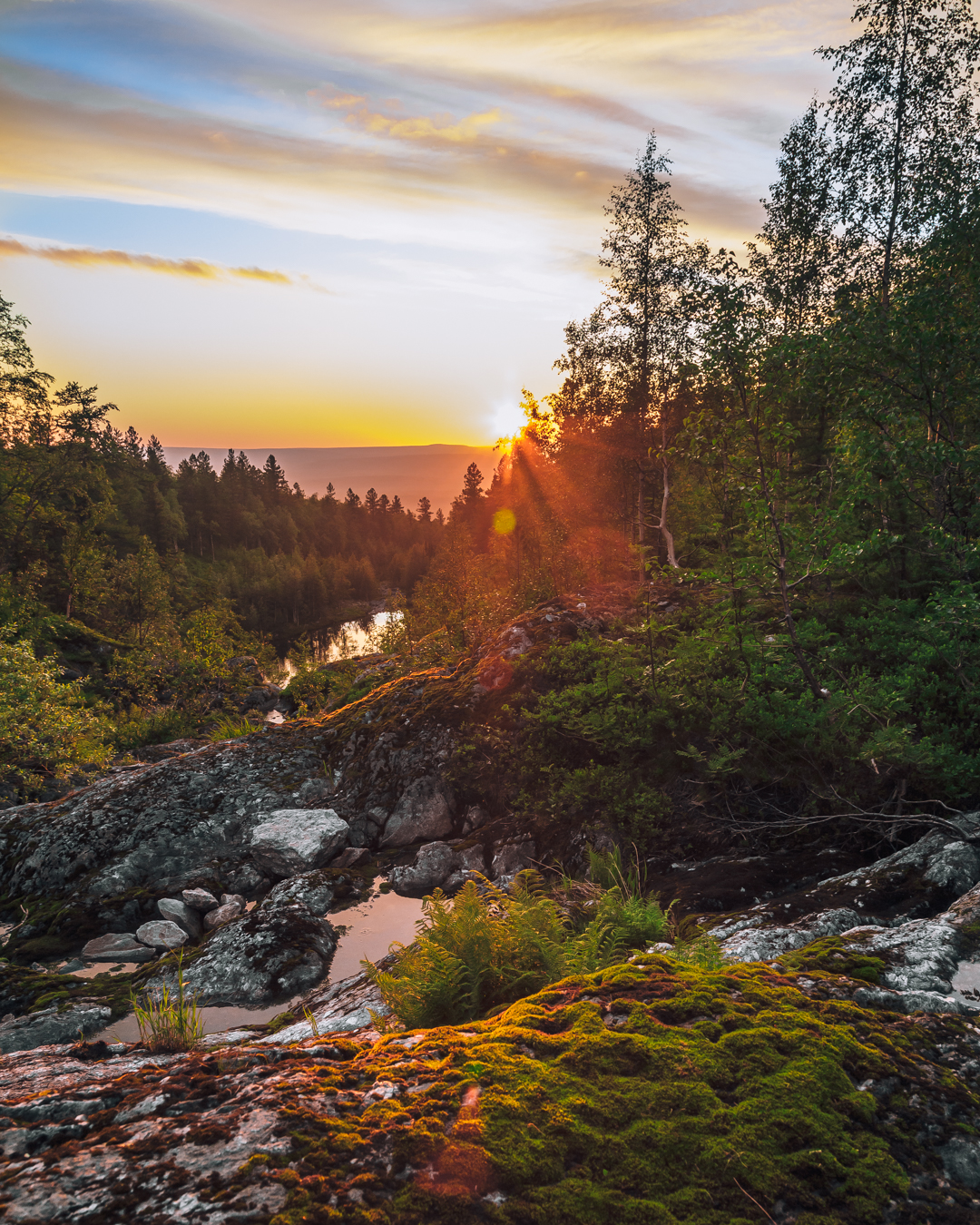 ↟ Северный Урал: заповедник 