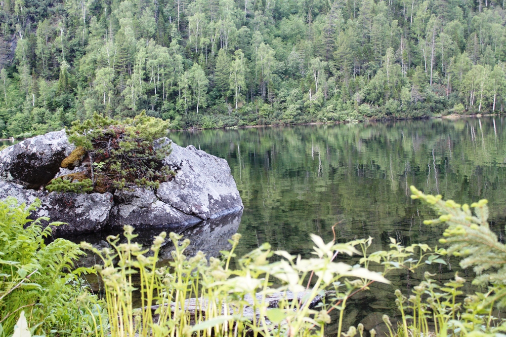 Байкал. Горные реки. 2 дня (7/16)