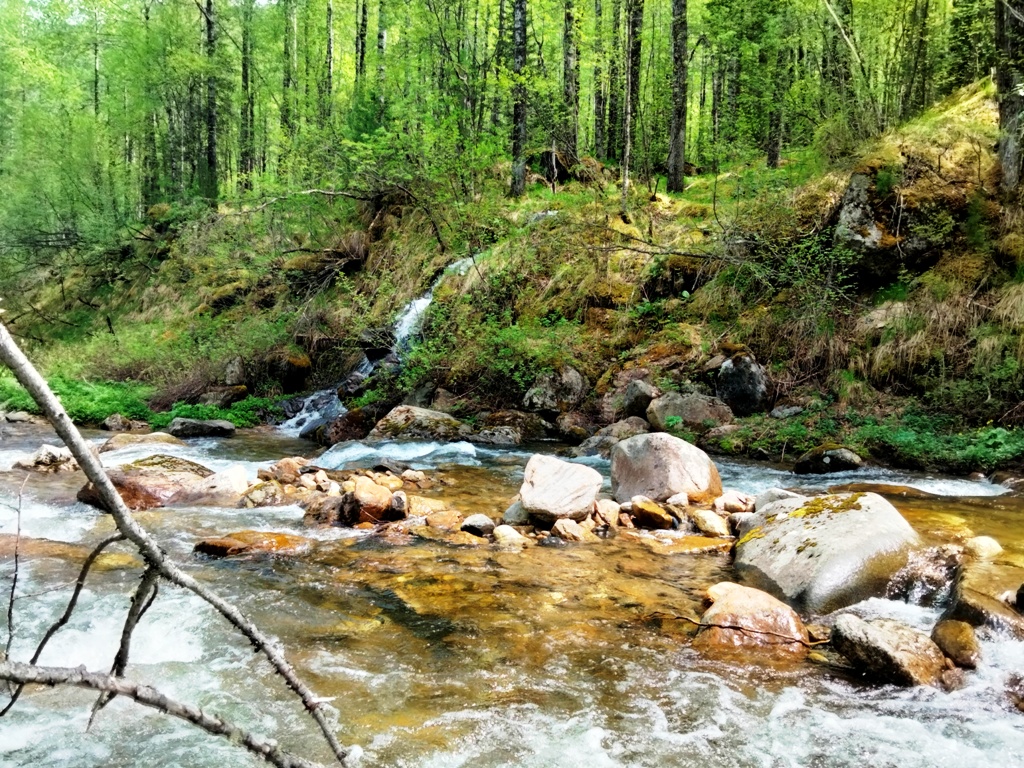 Байкал. Горные реки. 2 дня (12/16)