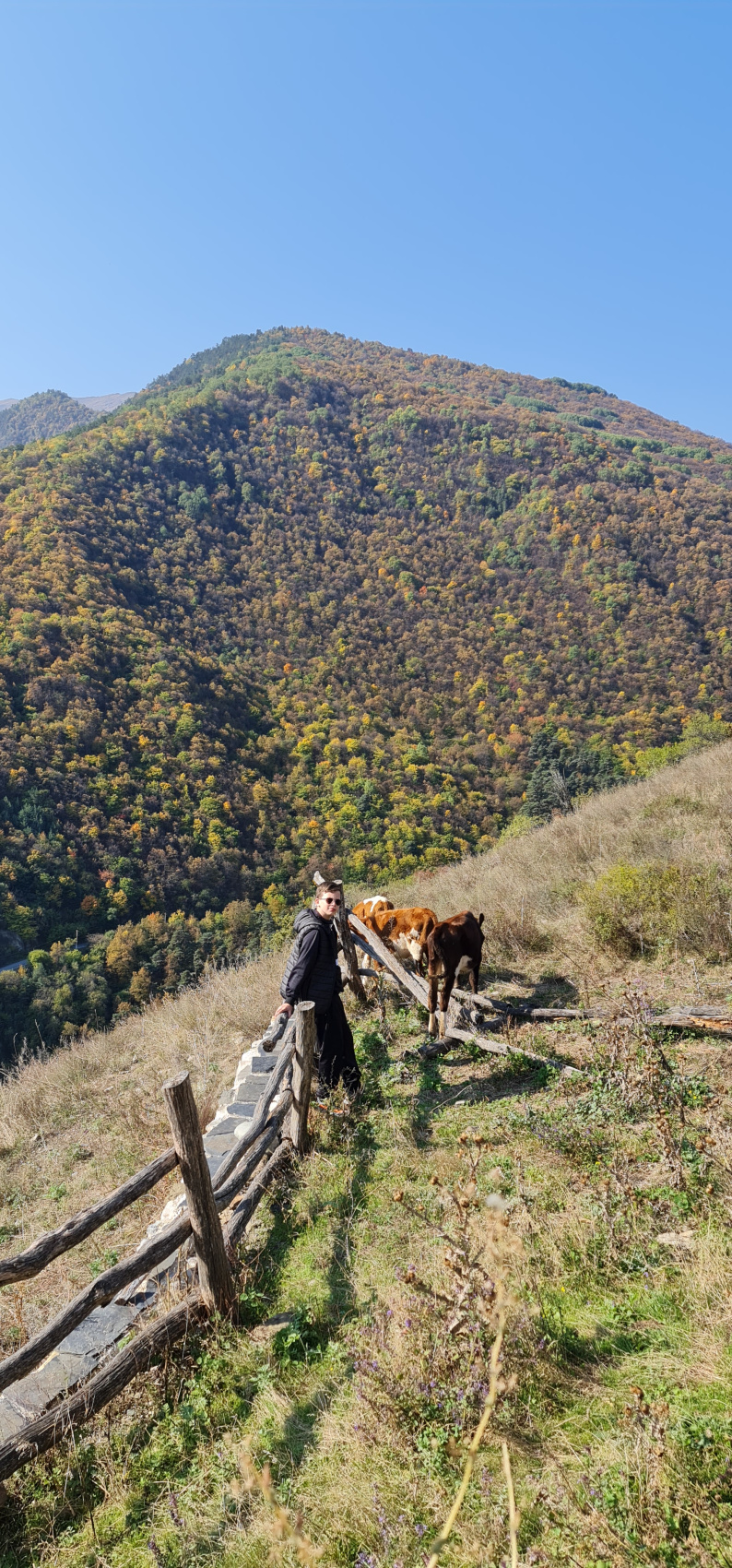 Релакс - тур (71/99)