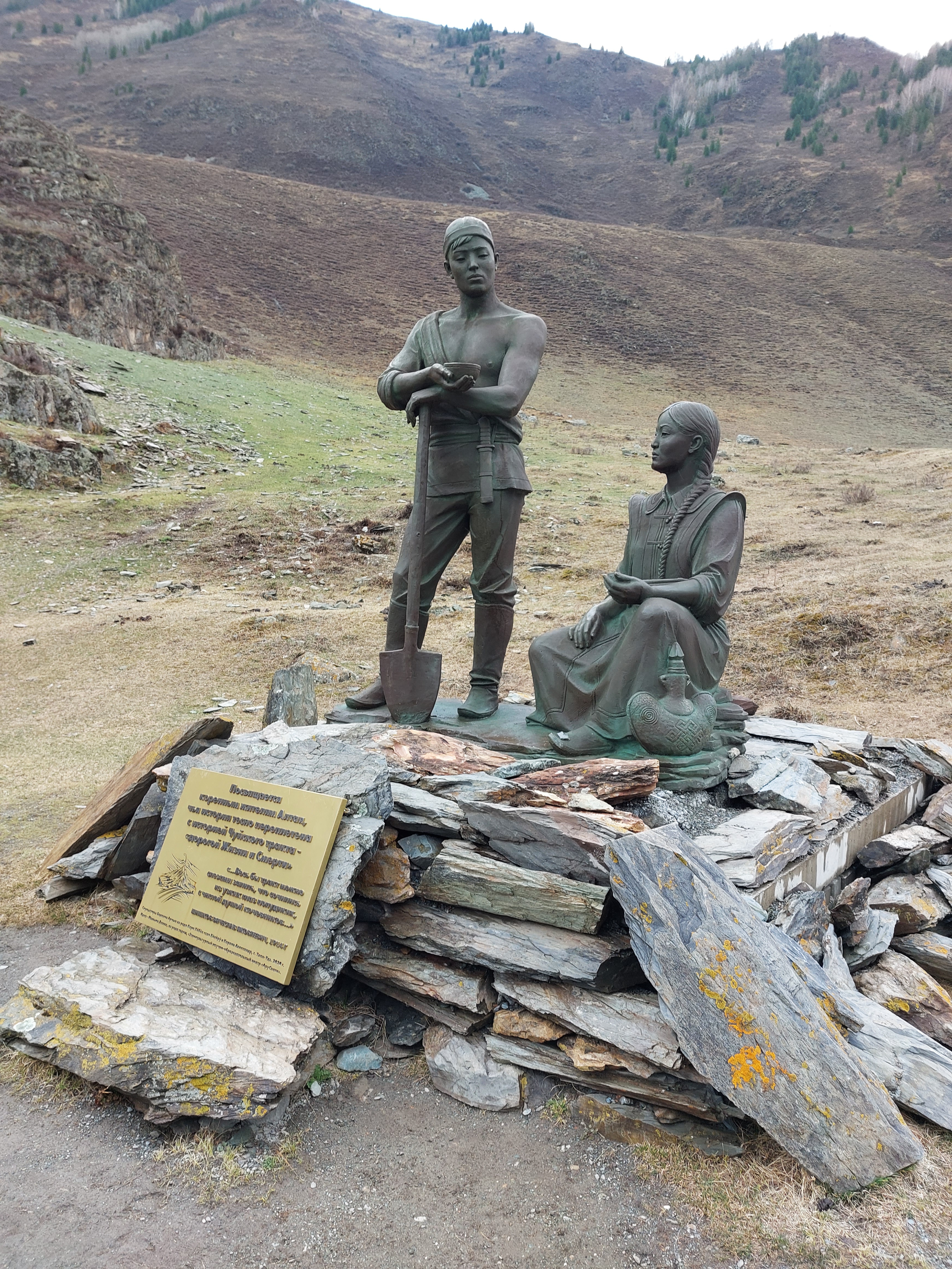 Цветение маральника. Автотур по Чуйскому тракту (22/28)