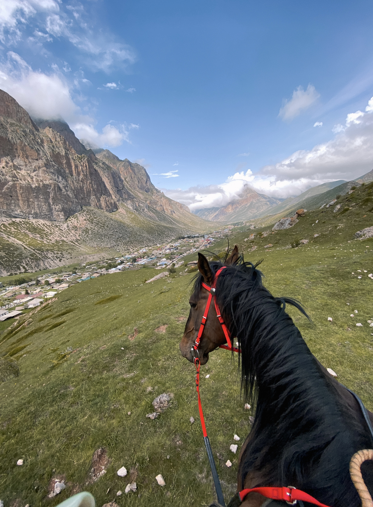 Чегемское ущелье. Парапланы (6/16)