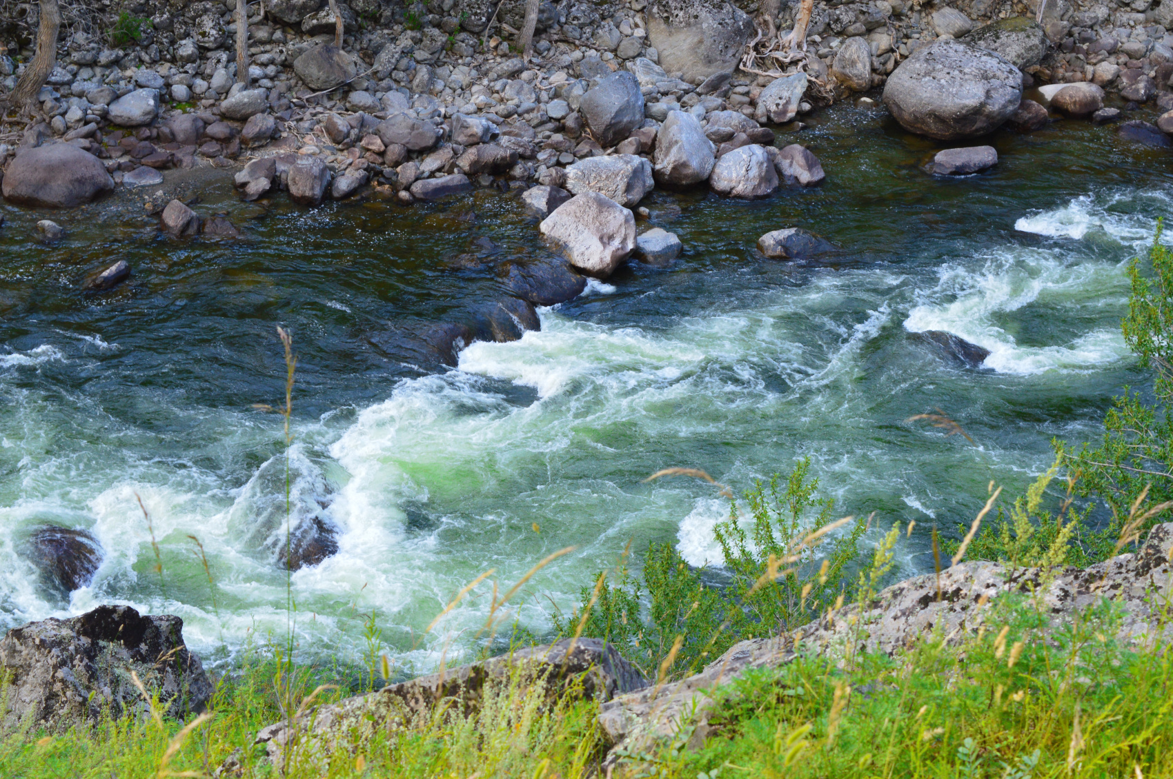 Топ-7 красот Алтая, полное погружение в красоту (5/33)