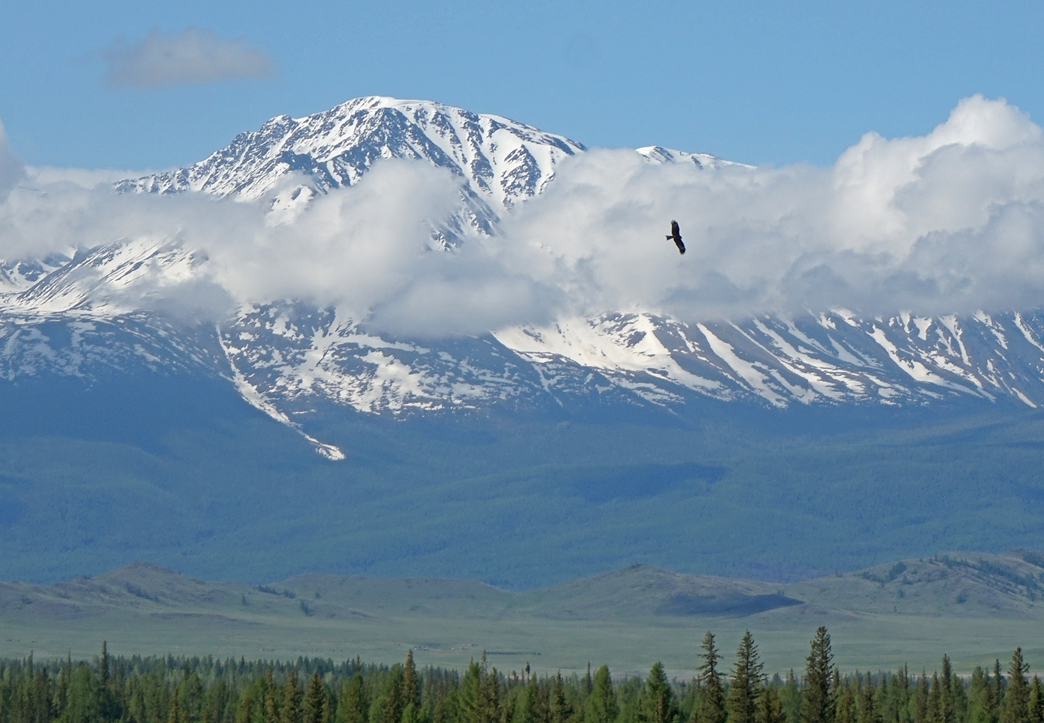 Топ-7 красот Алтая, полное погружение в красоту (10/33)