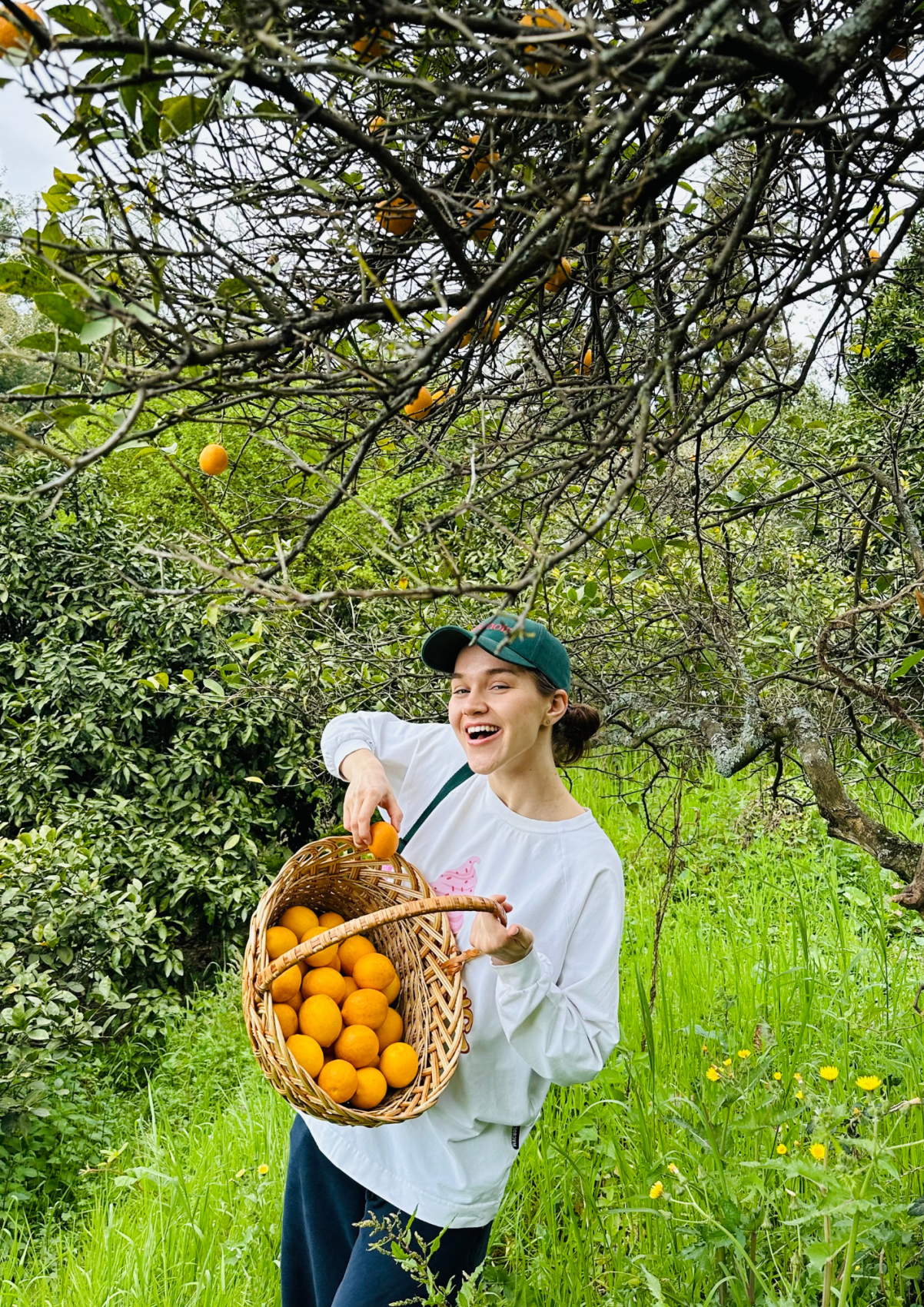 Тур в Абхазию Путешествие в Страну души (37/49)