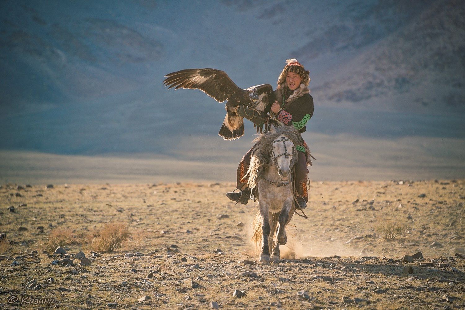 Amazing Mongolia