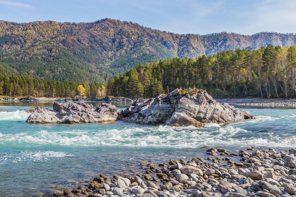 Знакомство С Алтаем - 7 Дней! 2026 - Легкий тур по всему Алтаю! (4/45)