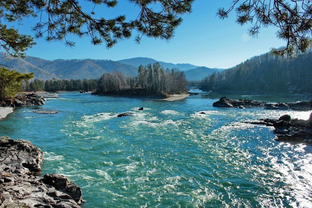 Знакомство С Алтаем - 7 Дней! 2026 - Легкий тур по всему Алтаю! (14/45)