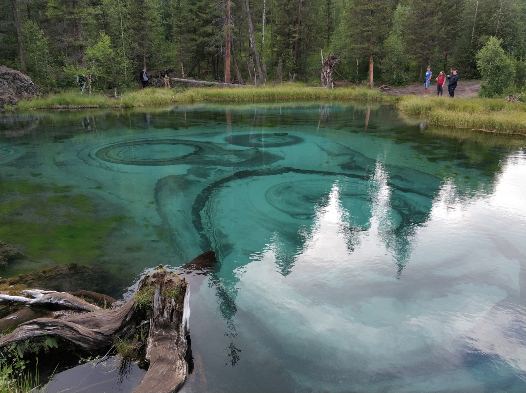 Знакомство С Алтаем - 7 Дней! 2026 - Легкий тур по всему Алтаю! (19/45)