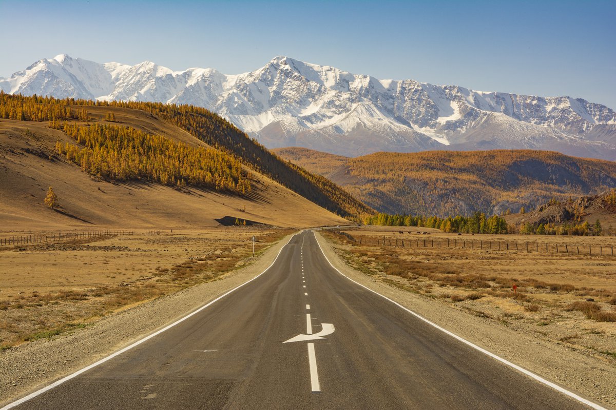 Знакомство С Алтаем - 7 Дней! 2026 - Легкий тур по всему Алтаю! (8/45)