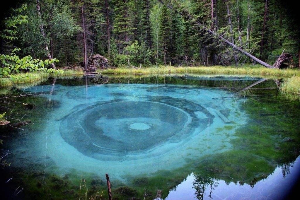 Знакомство С Алтаем - 7 Дней! 2026 - Легкий тур по всему Алтаю! (13/45)