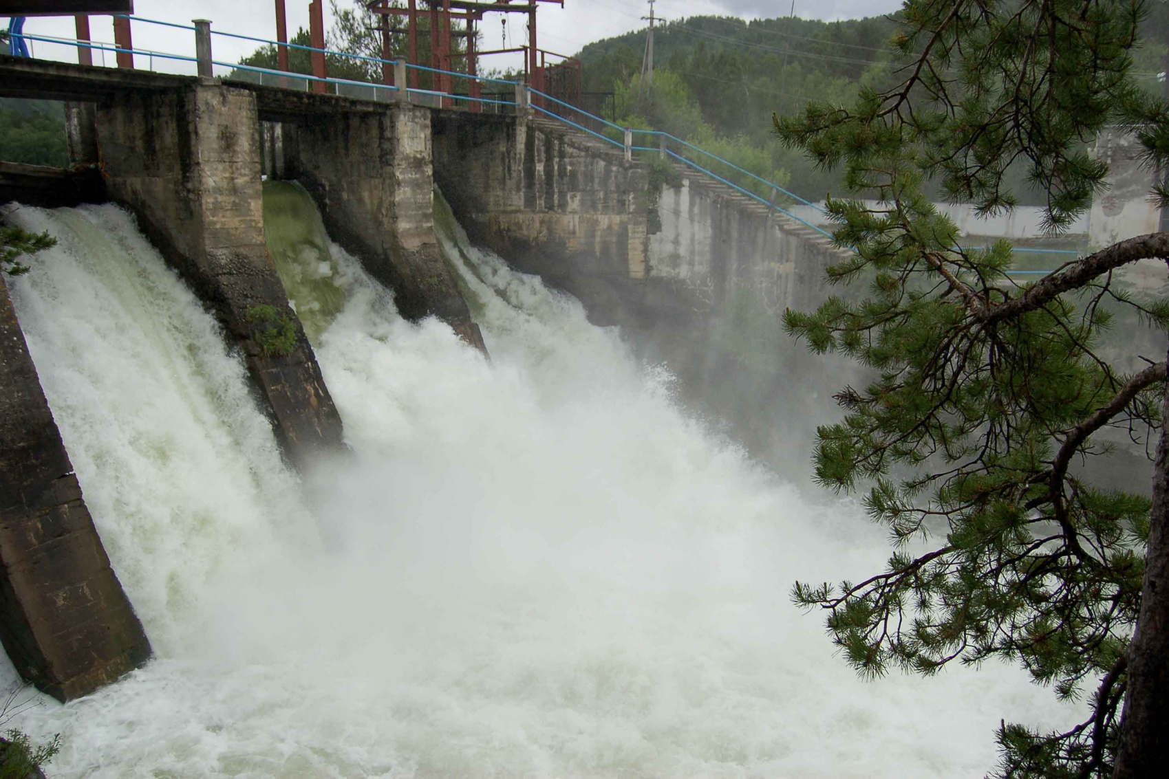 Знакомство С Алтаем - 7 Дней! 2026 - Легкий тур по всему Алтаю! (23/45)
