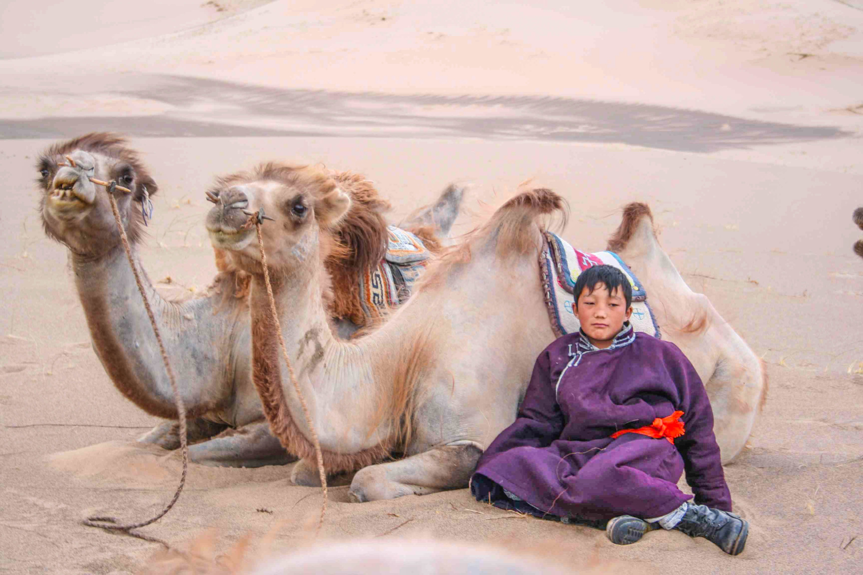 От Байкала до Гоби Монголия в Комфортном Авторском Мультитуре (33/85)