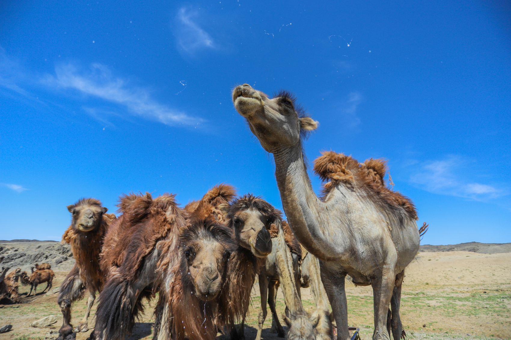 От Байкала до Гоби Монголия в Комфортном Авторском Мультитуре (41/85)