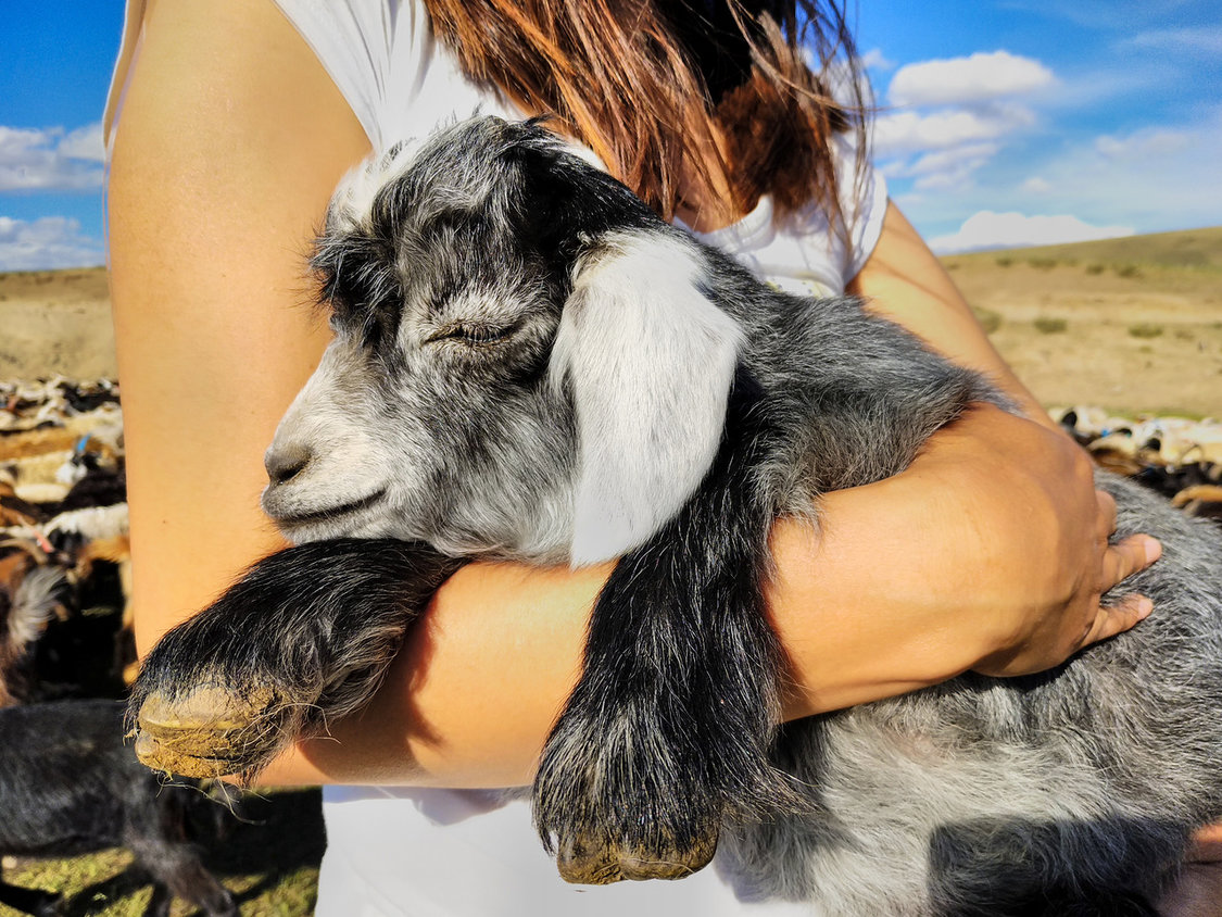 От Байкала до Гоби Монголия в Комфортном Авторском Мультитуре (53/85)