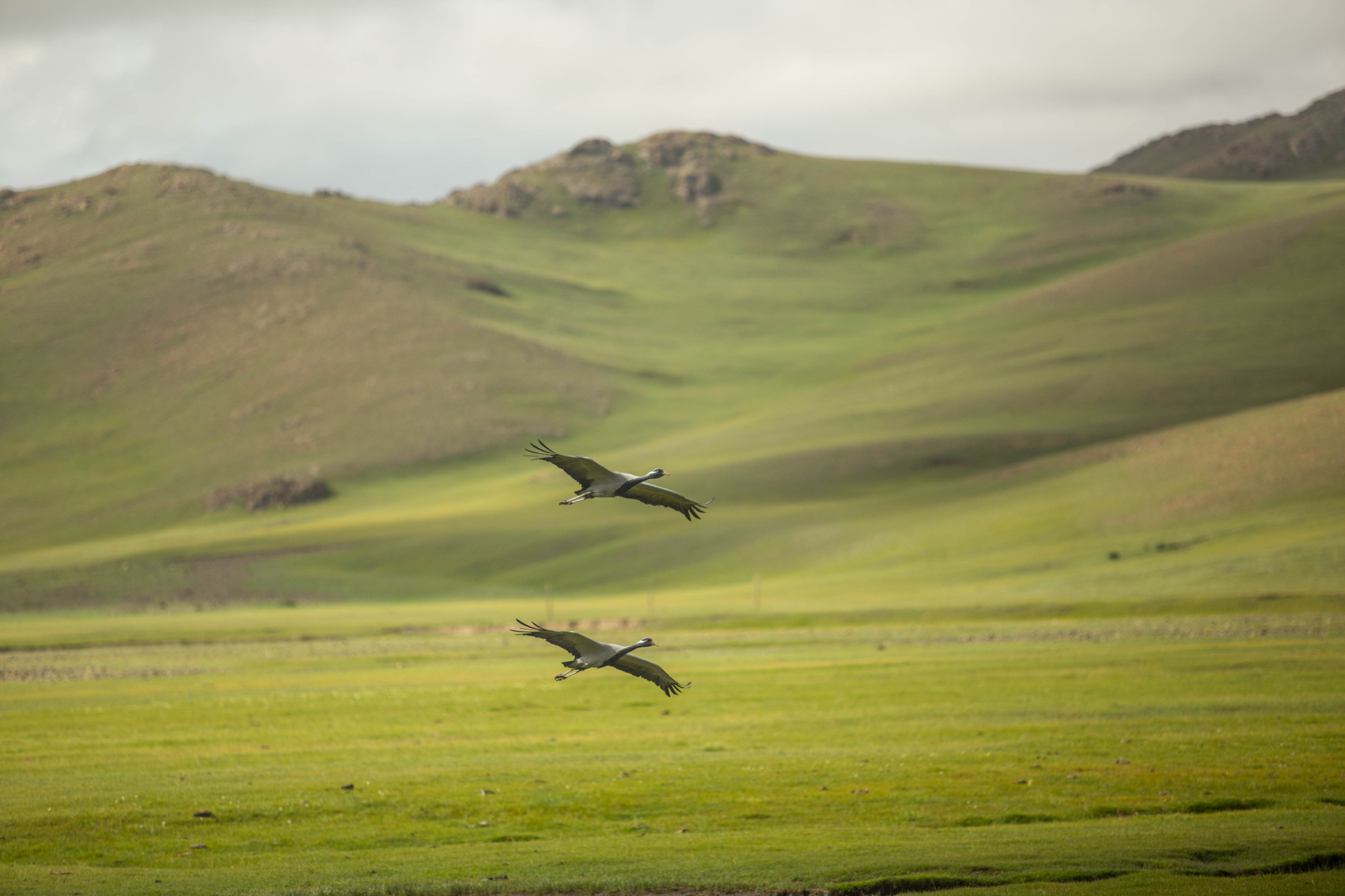 От Байкала до Гоби Монголия в Комфортном Авторском Мультитуре (46/85)