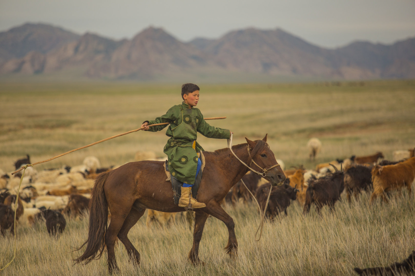 От Байкала до Гоби Монголия в Комфортном Авторском Мультитуре (21/85)