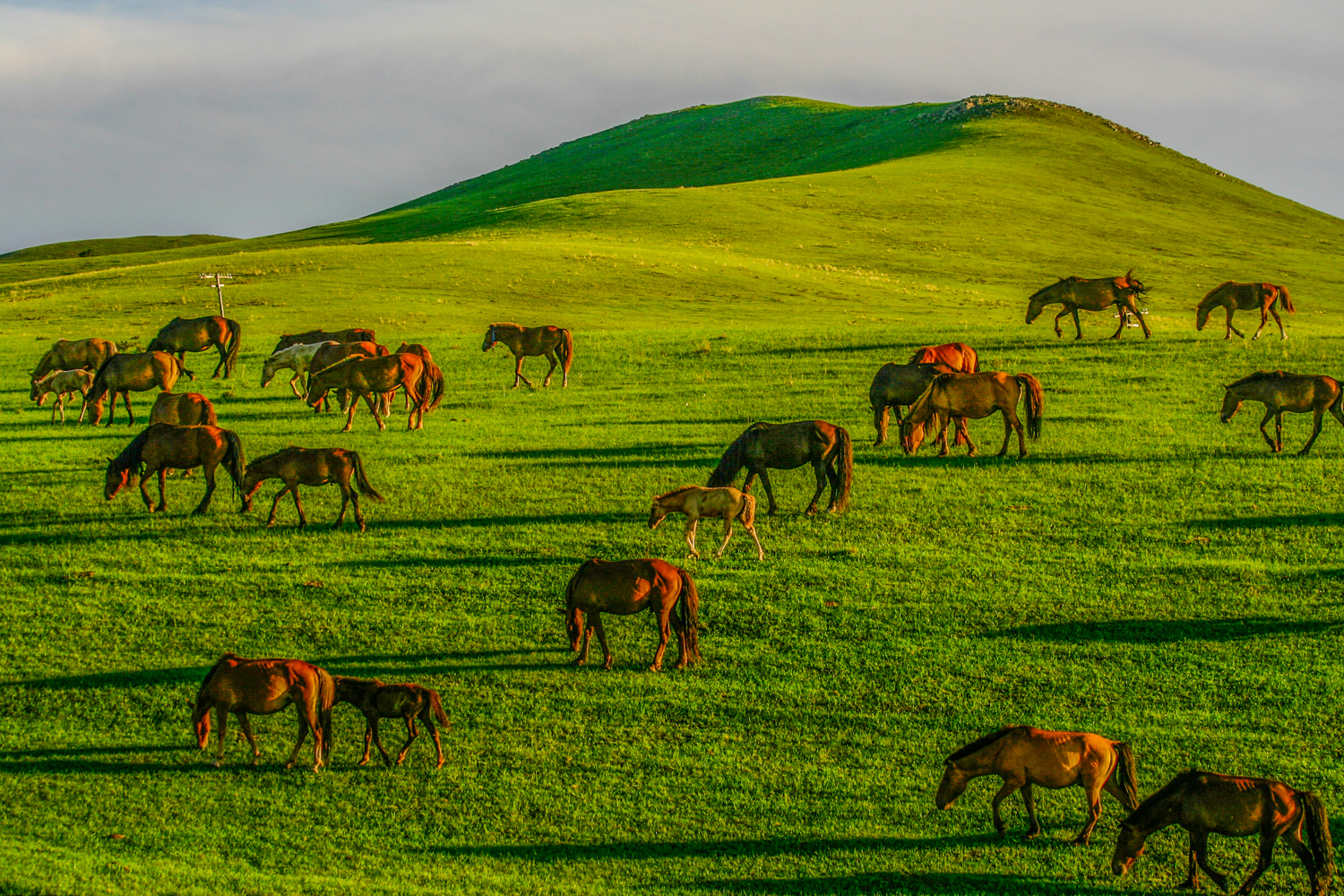 От Байкала до Гоби Монголия в Комфортном Авторском Мультитуре (10/85)