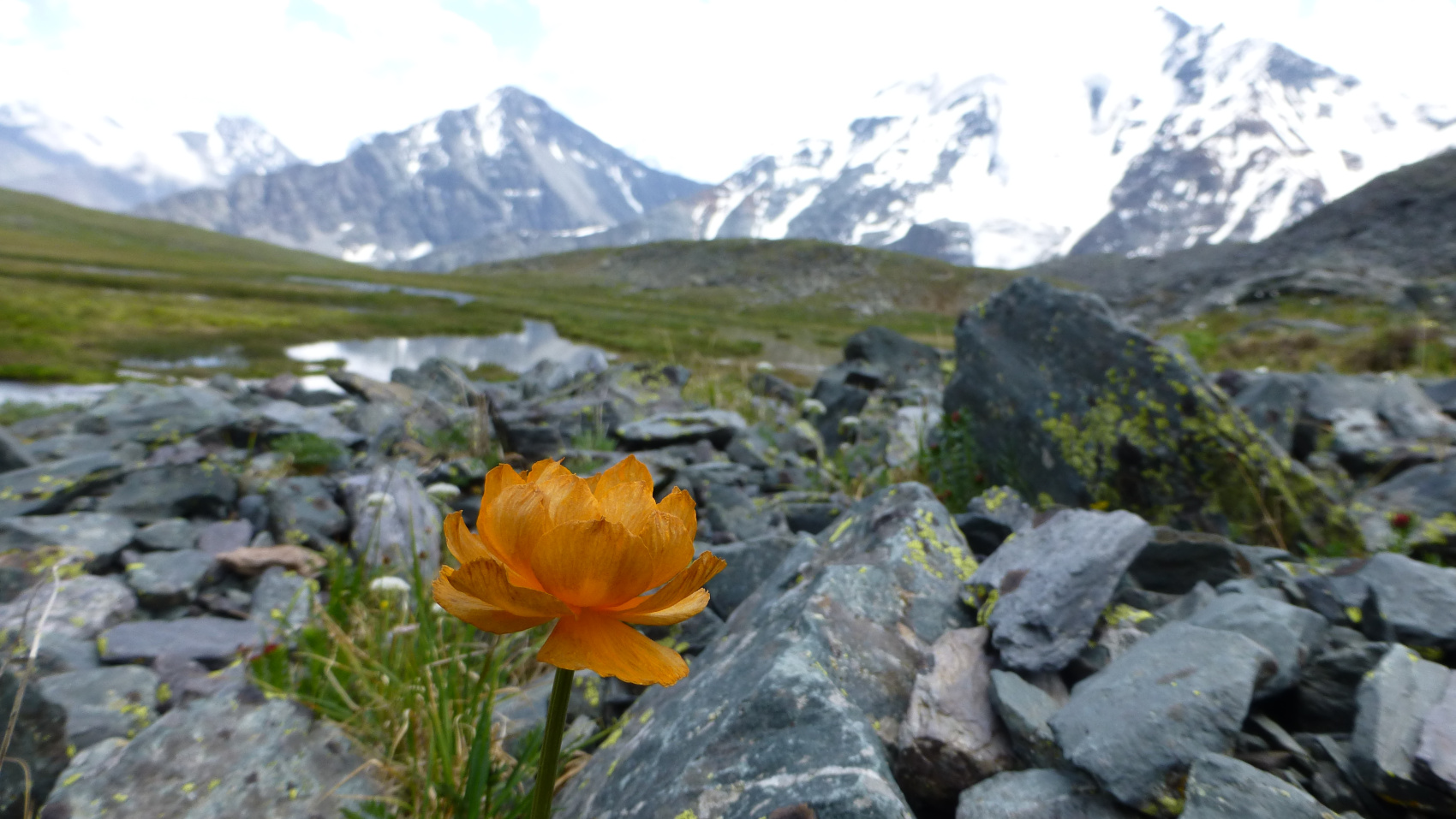 Поход - не ретрит. Мажойский Ледник. Алтай. (3/31)