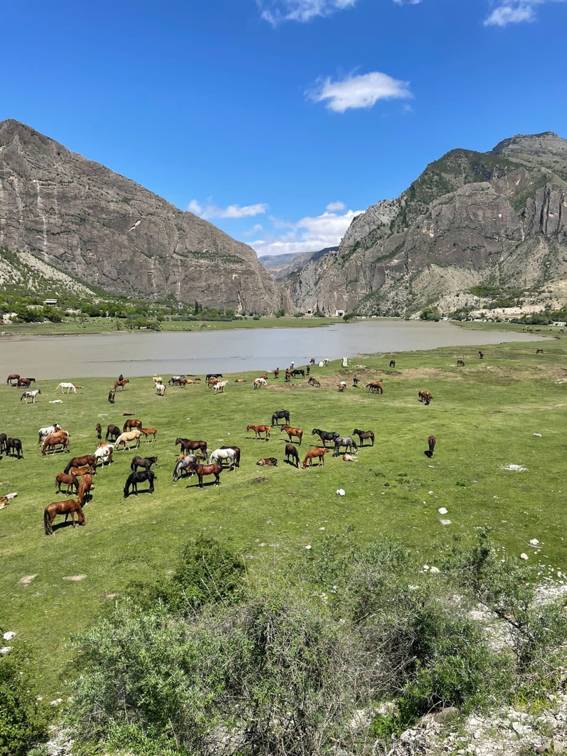 Дыхание Гор Дагестана. Все Включено (25/52)