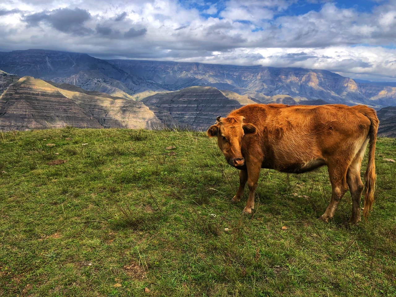 Дыхание Гор Дагестана. Все Включено (11/52)