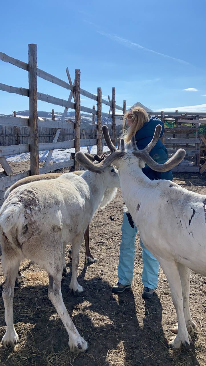 Териберка. Майские на максималку. Все включено: баня, море, рыбалка (20/58)