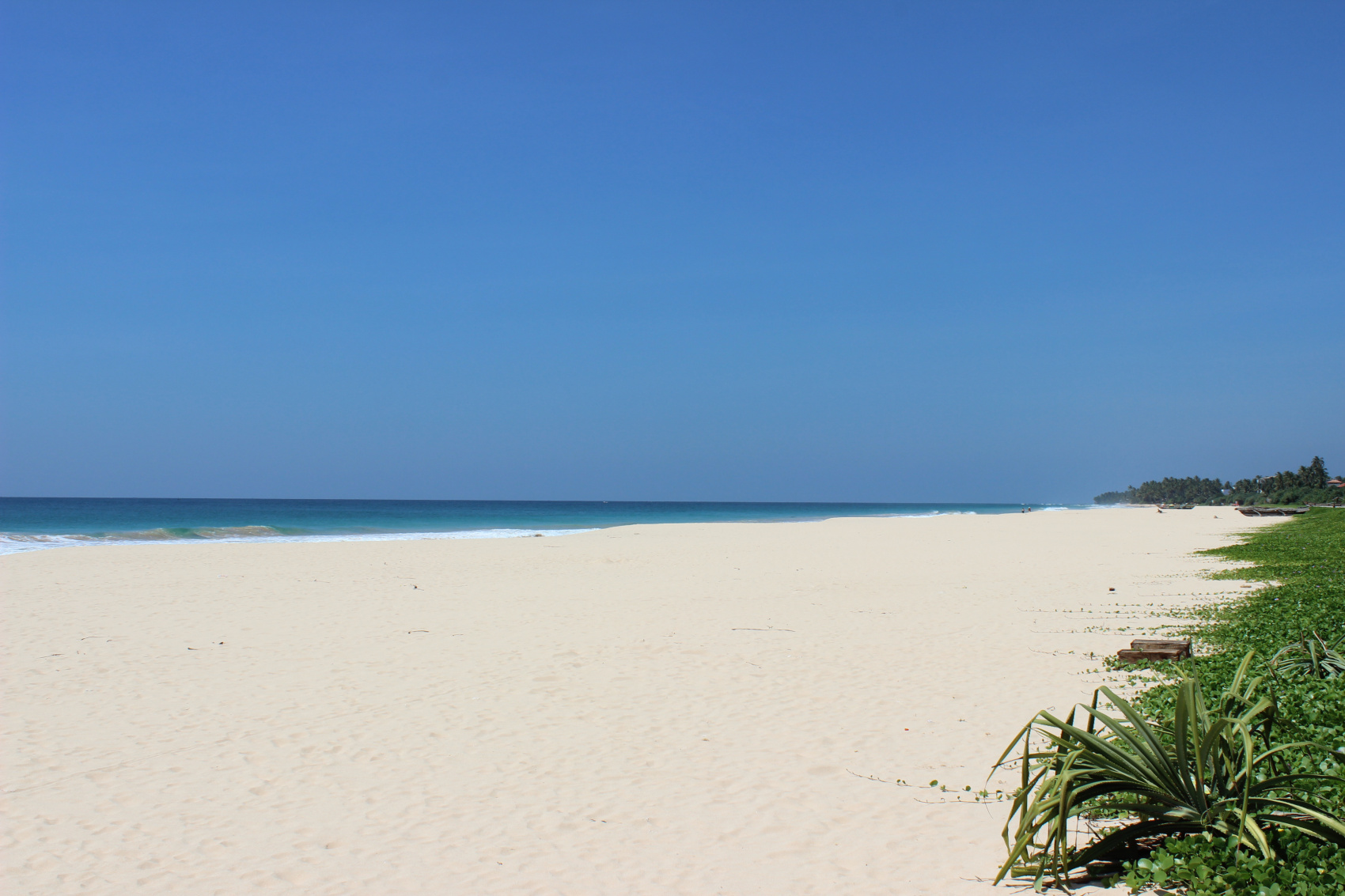 Ланкийский экспресс + отдых на побережье (4/21)