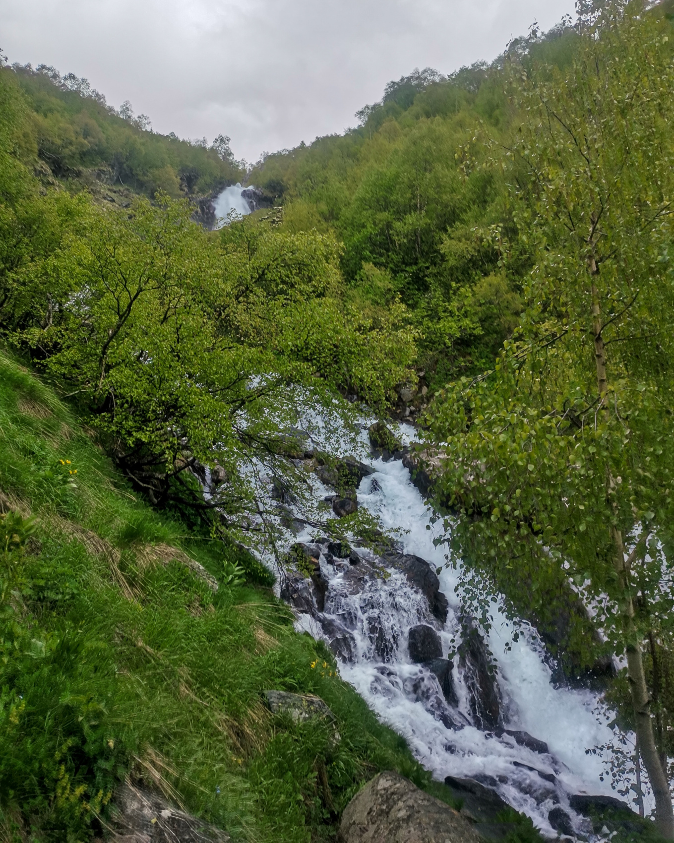 Полная перезагрузка. Домбай. 5 дней не тяжелого трекинга (мини-группа) (10/29)