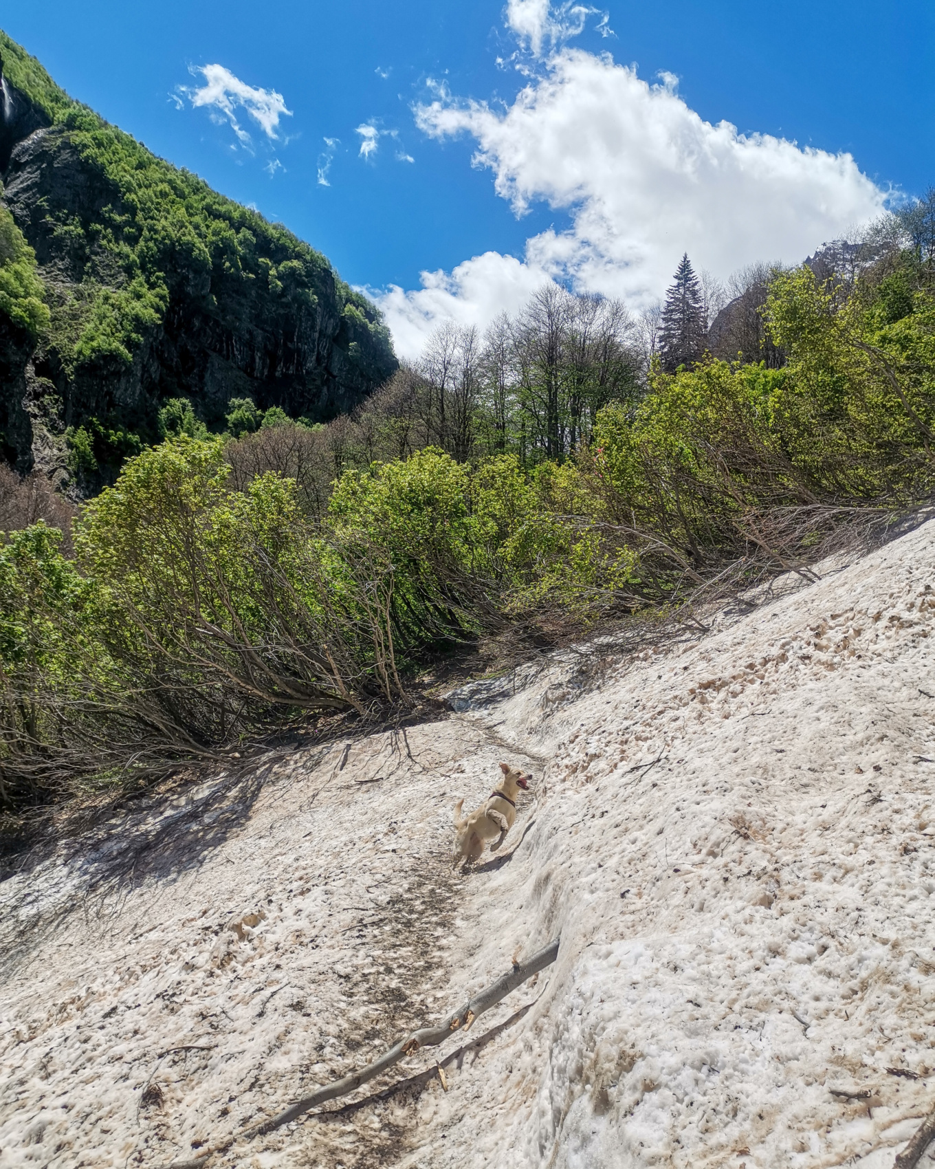 Полная перезагрузка. Домбай. 5 дней не тяжелого трекинга (мини-группа) (6/29)