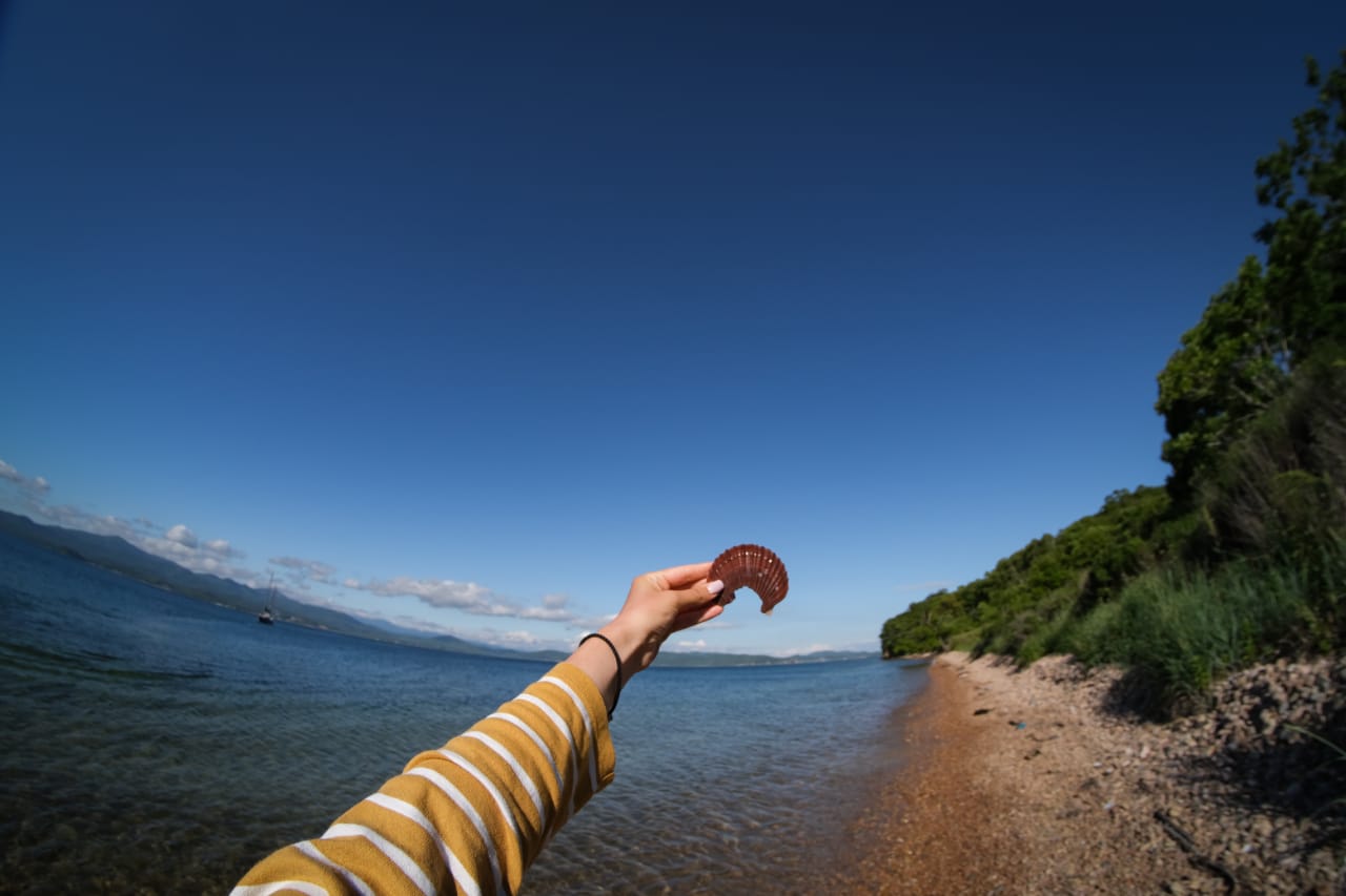 Авторский тур на парусных яхтах по Японскому морю (3/34)