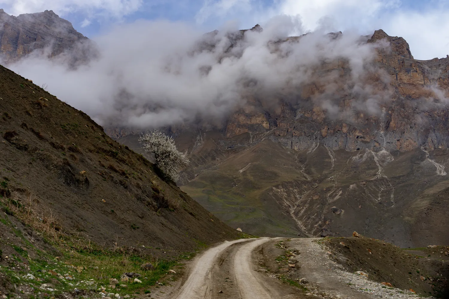 Северная Осетия и Кабардино-Балкария,Ингушетия Акция (8/85)
