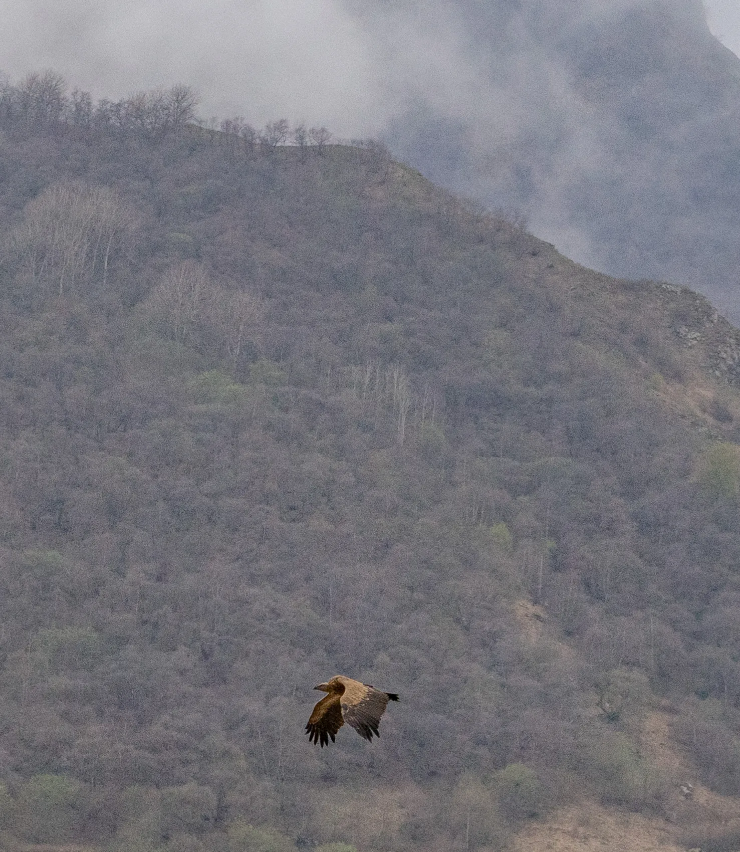 Северная Осетия и Кабардино-Балкария,Ингушетия Акция (6/85)
