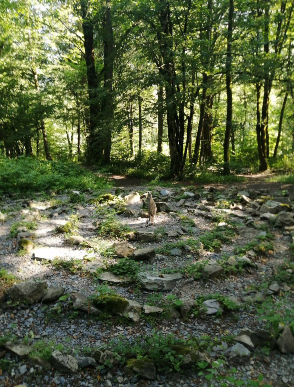 ТРОПЫ.  Красная Поляна. Абхазия  (16/28)