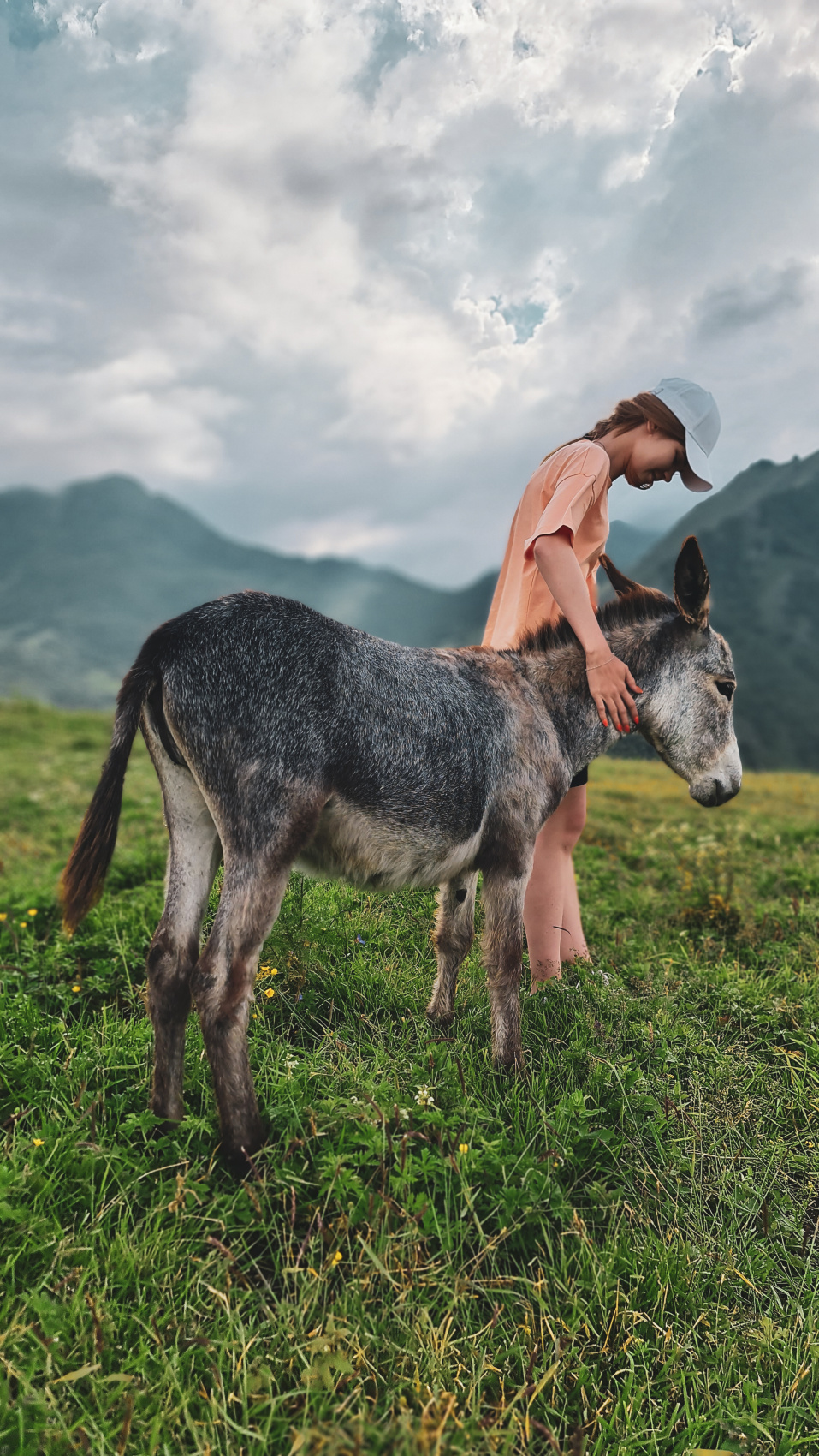Важное событие лета. Звездопад Персеиды. (45/63)