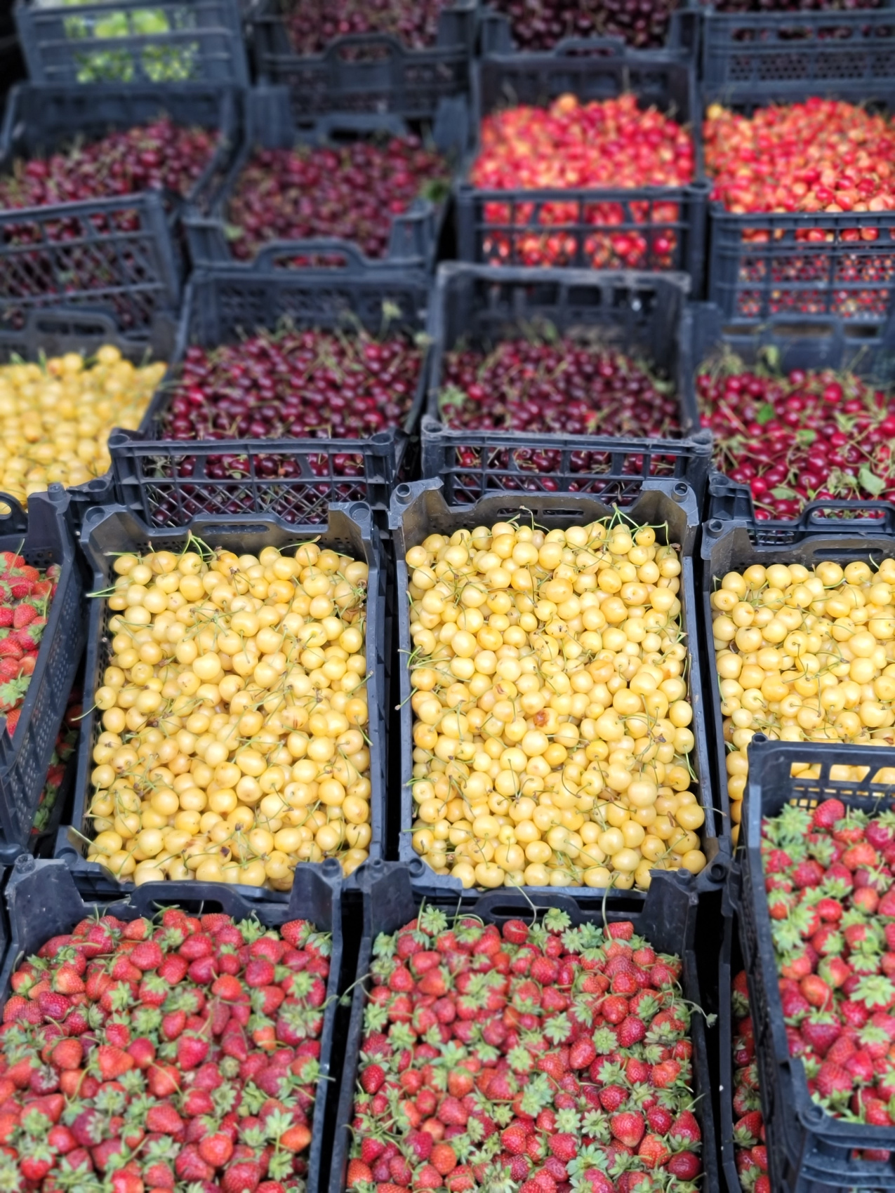 Азербайджан и Грузия за 8 дней. Две страны - два мира (23/131)