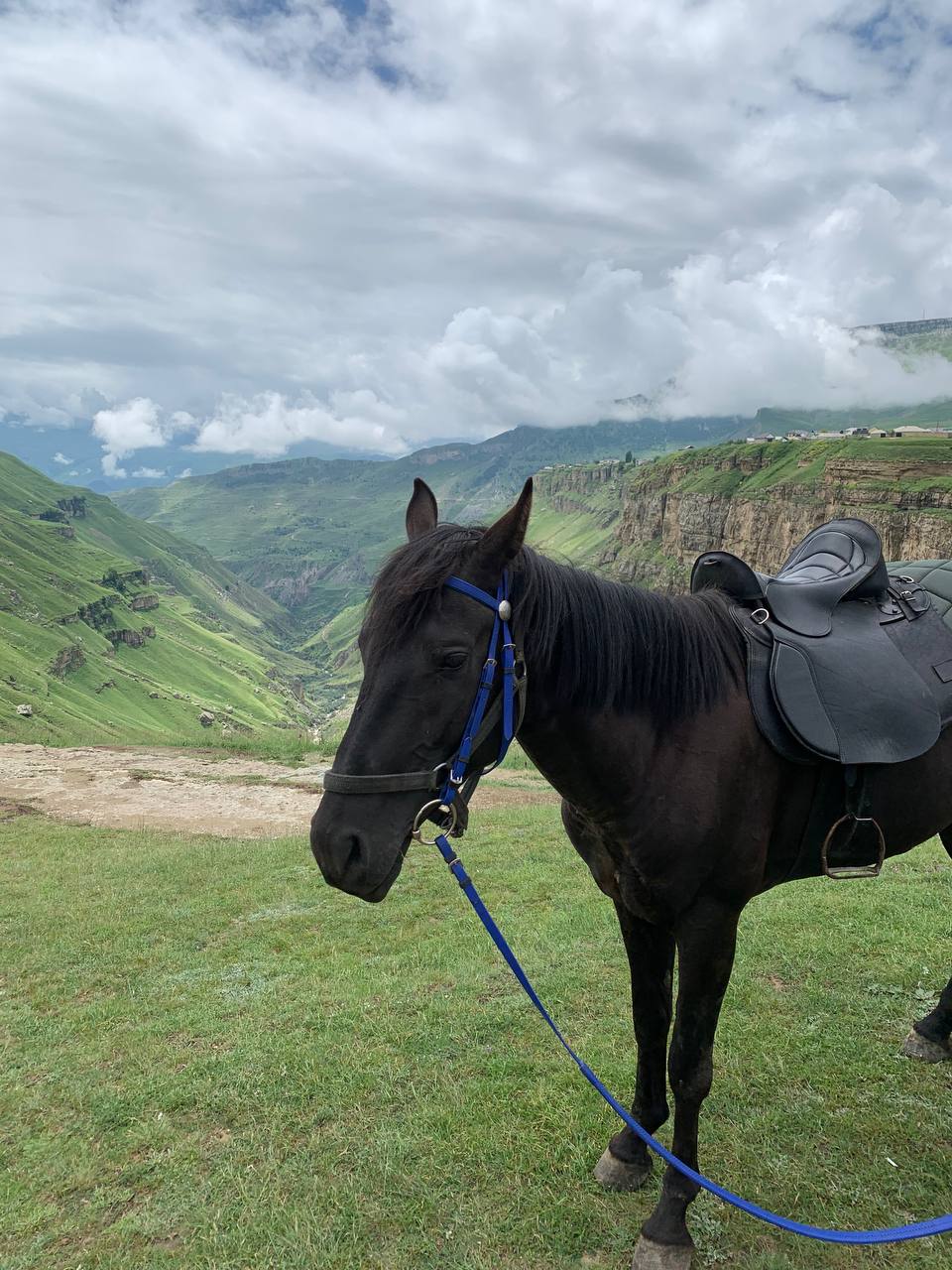 Дагестан: 3 дня с комфортном + все включено (25/85)