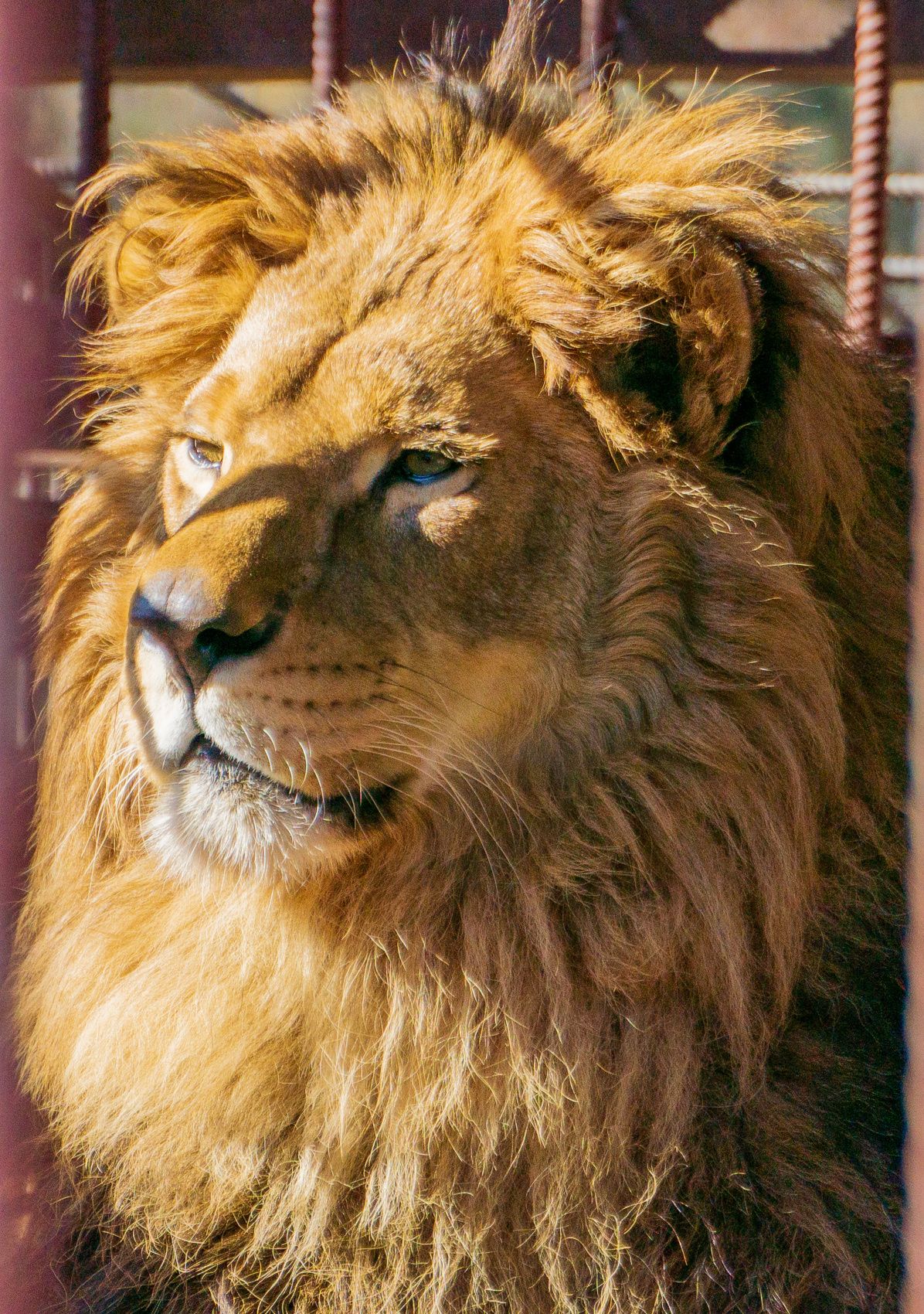 Северная Осетия и Кабардино-Балкария,Ингушетия Акция (47/85)