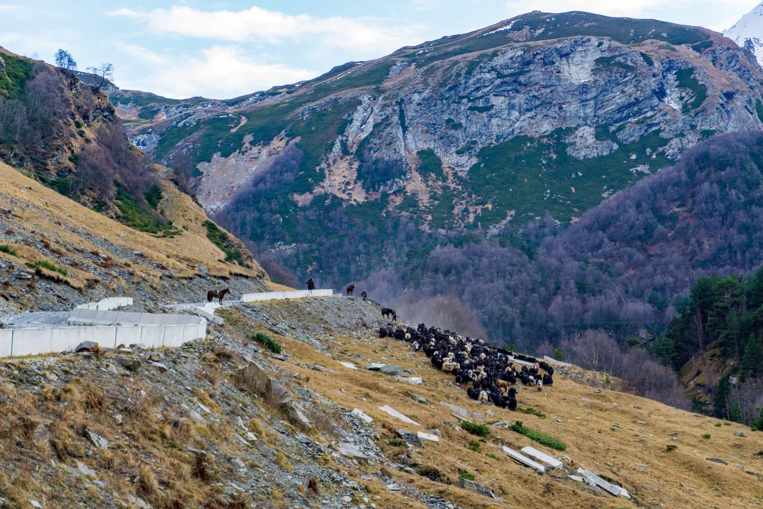 Северная Осетия и Кабардино-Балкария,Ингушетия Акция (52/85)