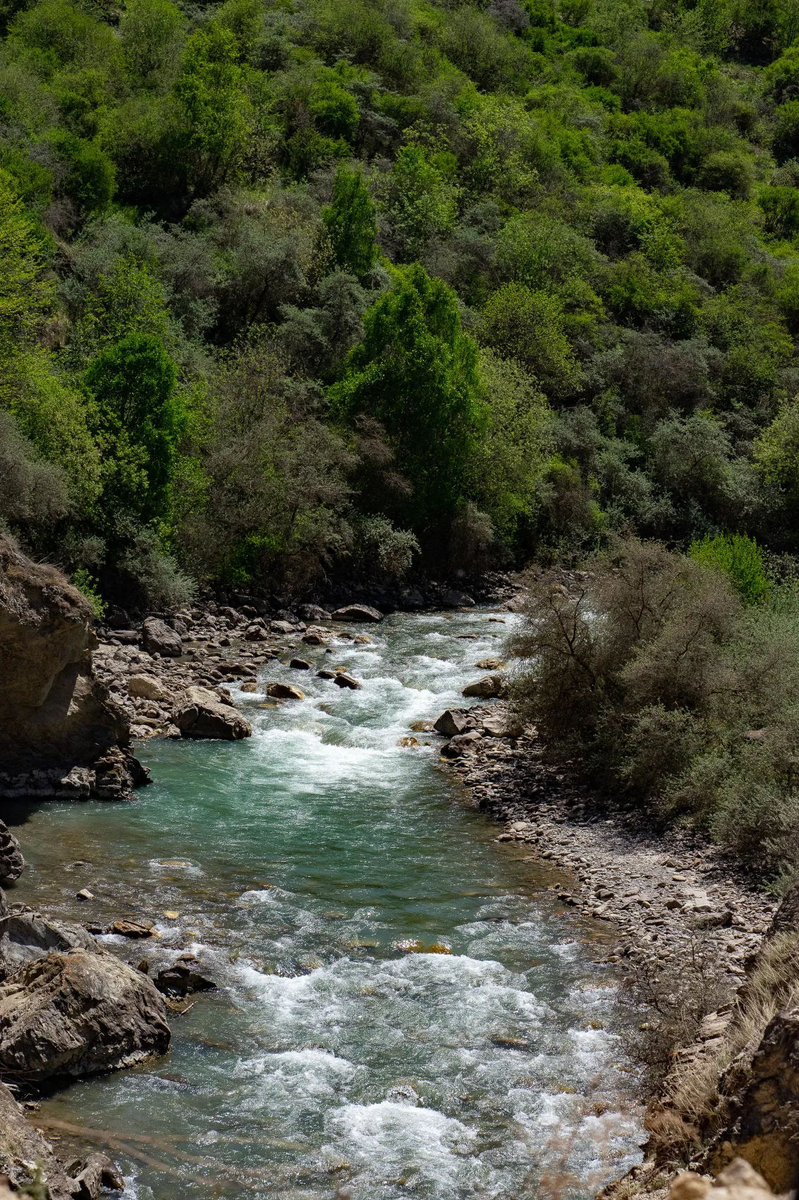Северная Осетия и Кабардино-Балкария,Ингушетия Акция (54/85)