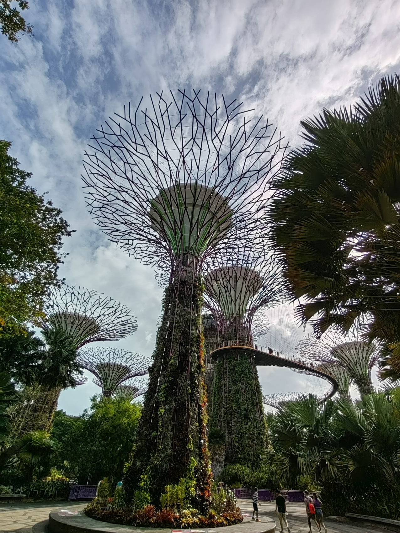 Экспедиция 5 стран Юго-Восточной Азии! (69/118)