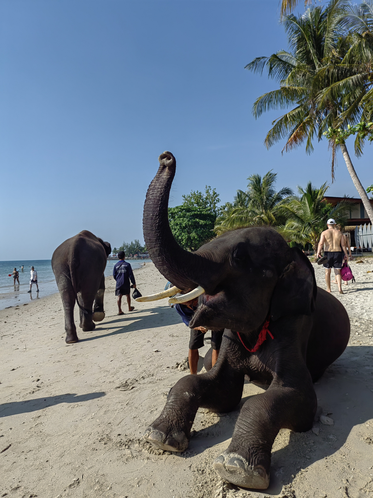 Экспедиция 5 стран Юго-Восточной Азии! (19/118)