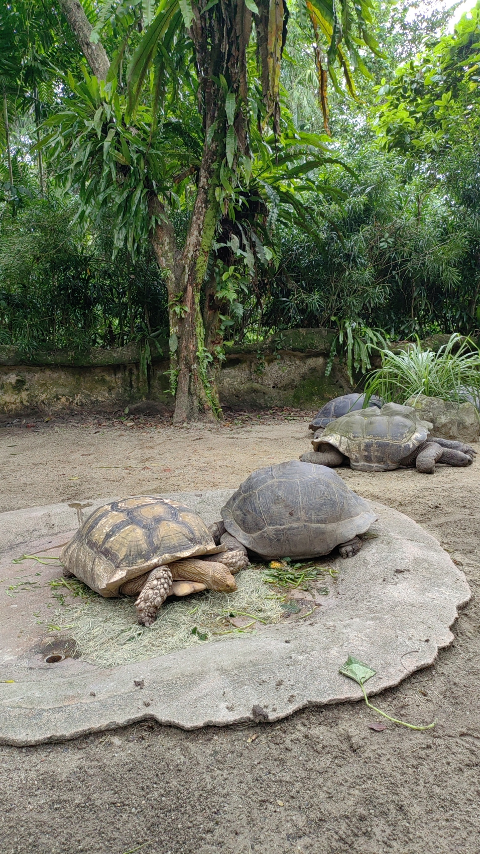 Экспедиция 5 стран Юго-Восточной Азии! (63/118)