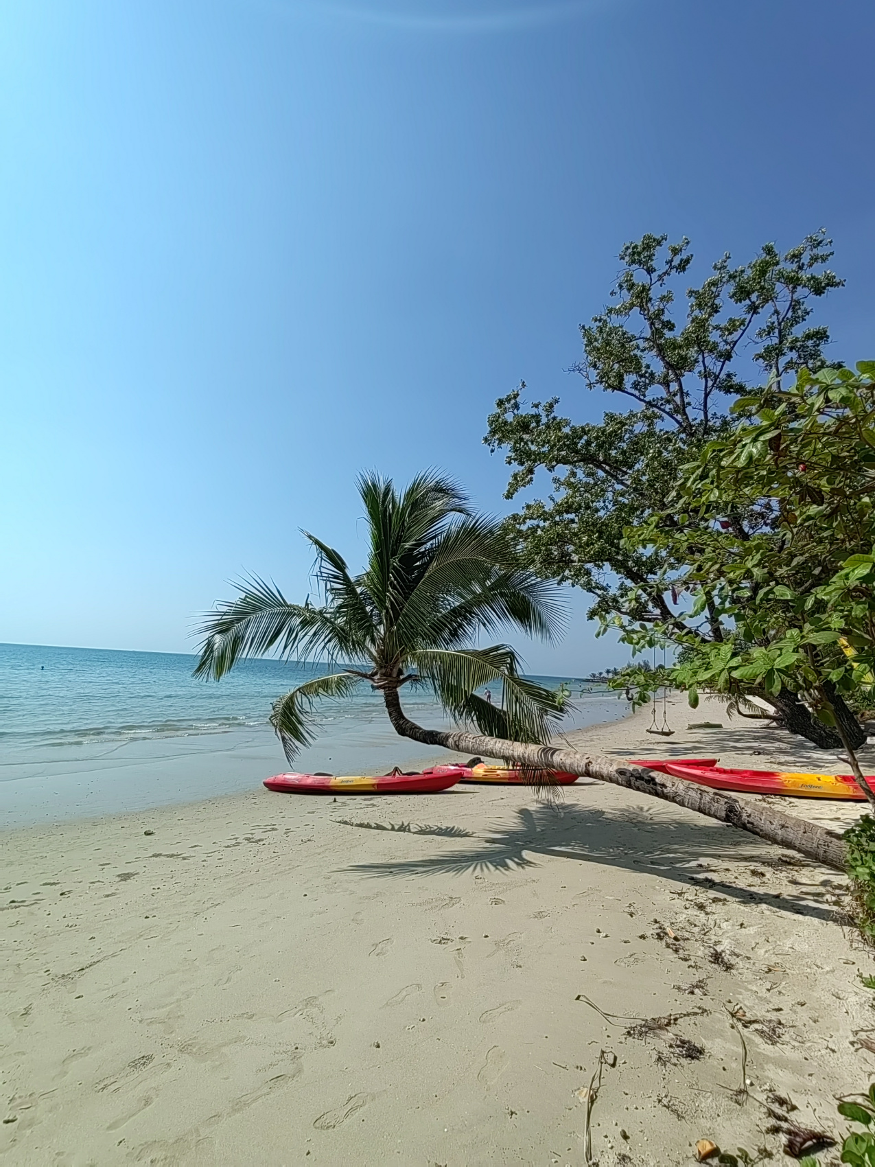 Экспедиция 5 стран Юго-Восточной Азии! (17/118)