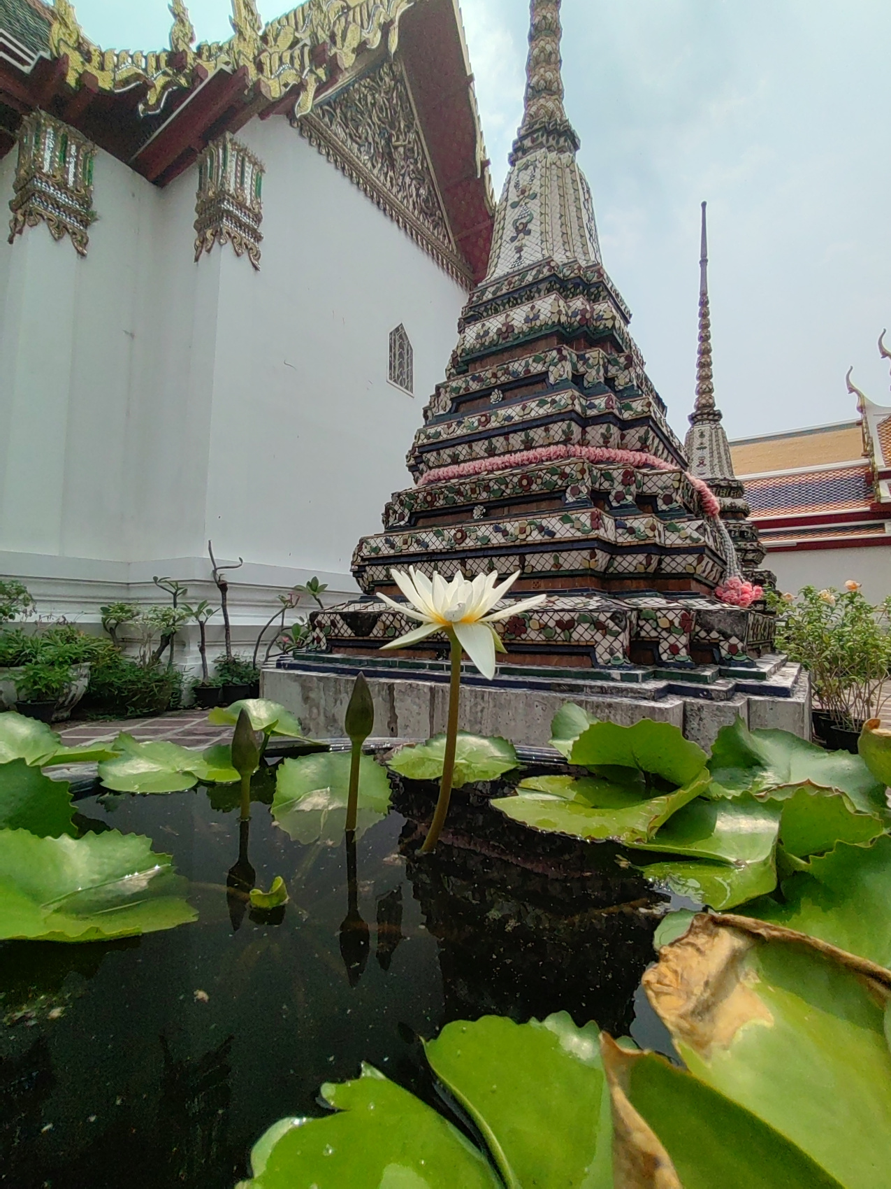 Экспедиция 5 стран Юго-Восточной Азии! (85/118)