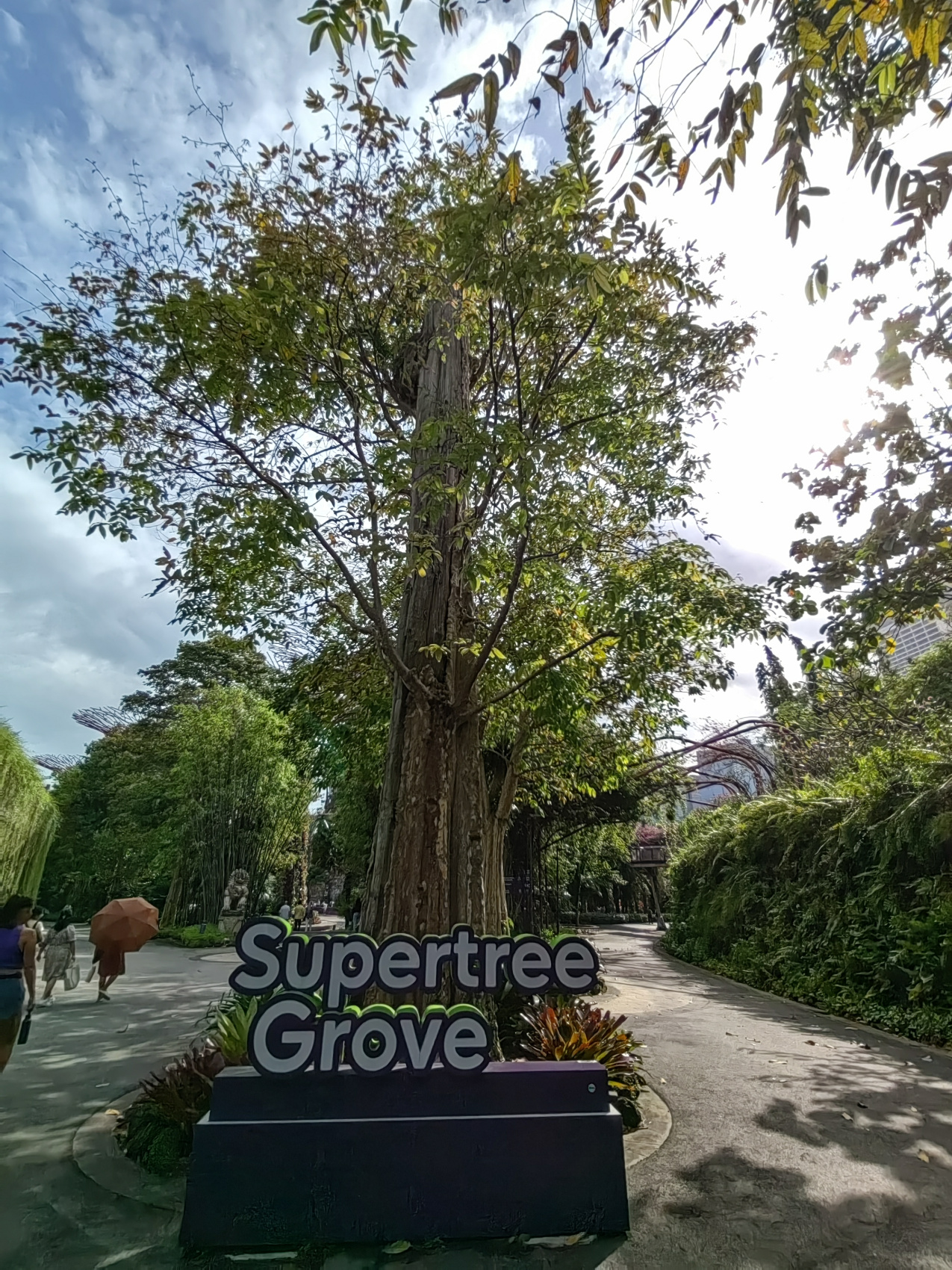 Экспедиция 5 стран Юго-Восточной Азии! (65/118)