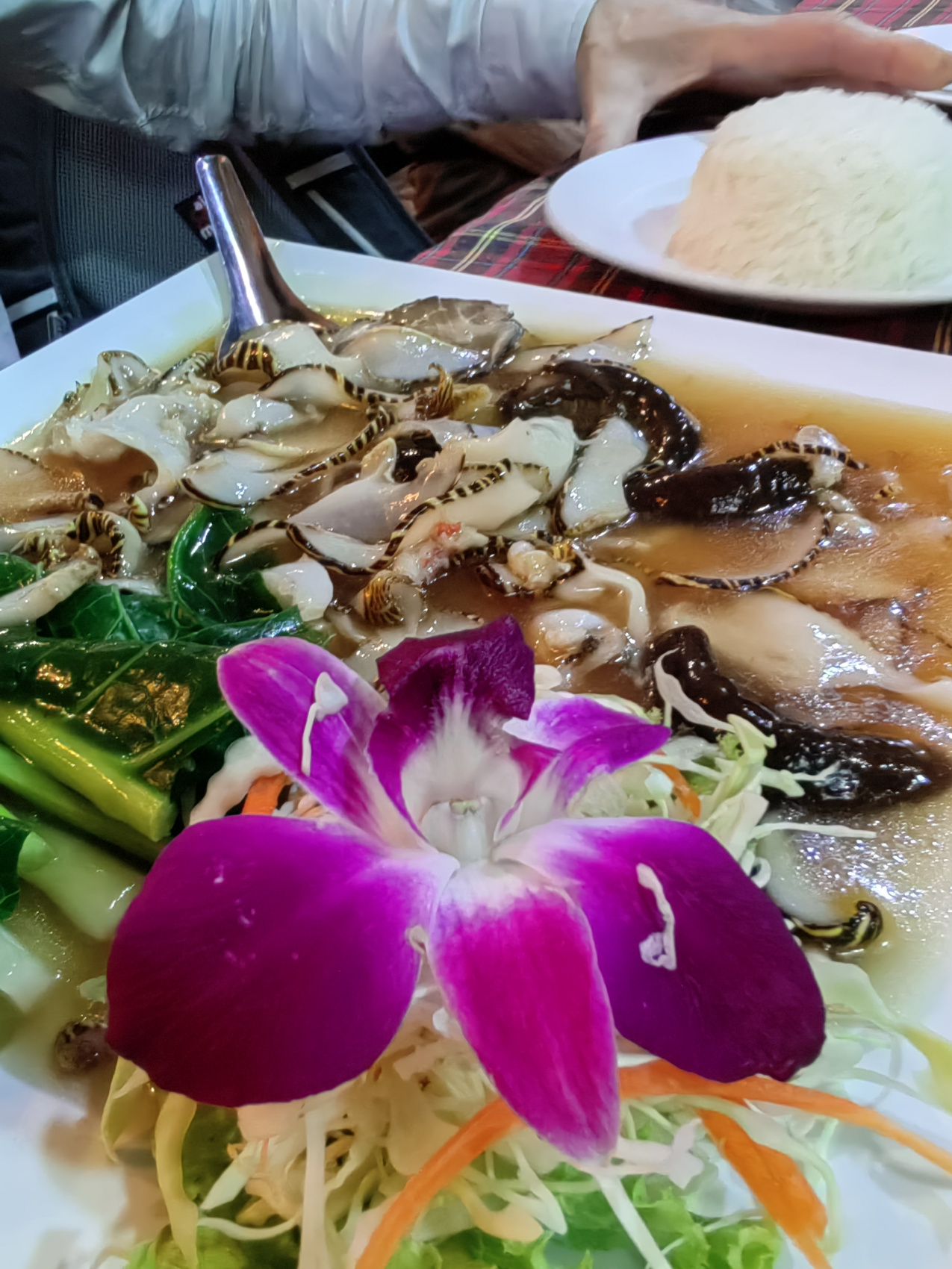 Экспедиция 5 стран Юго-Восточной Азии! (33/118)